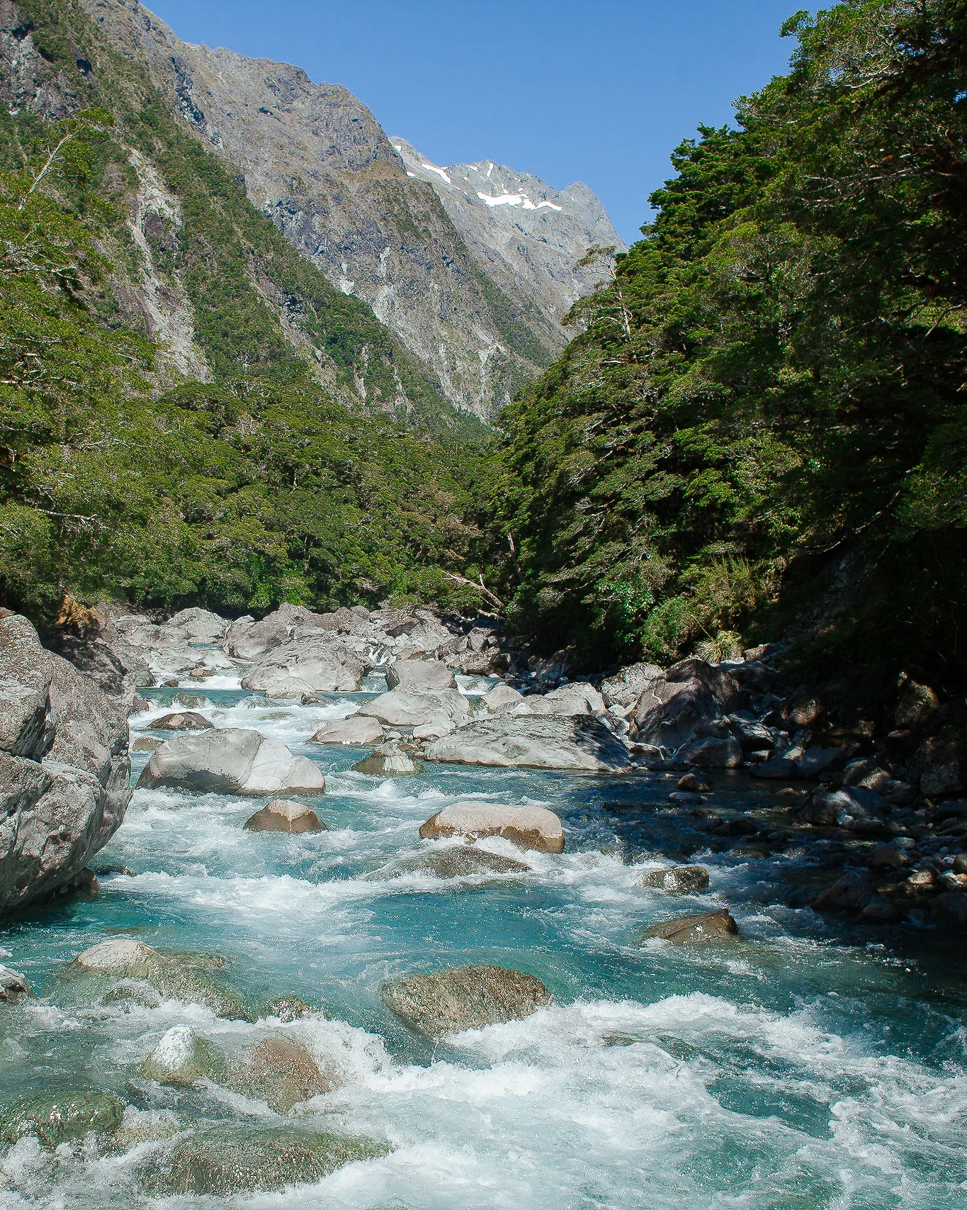 landscape-0295.jpg
