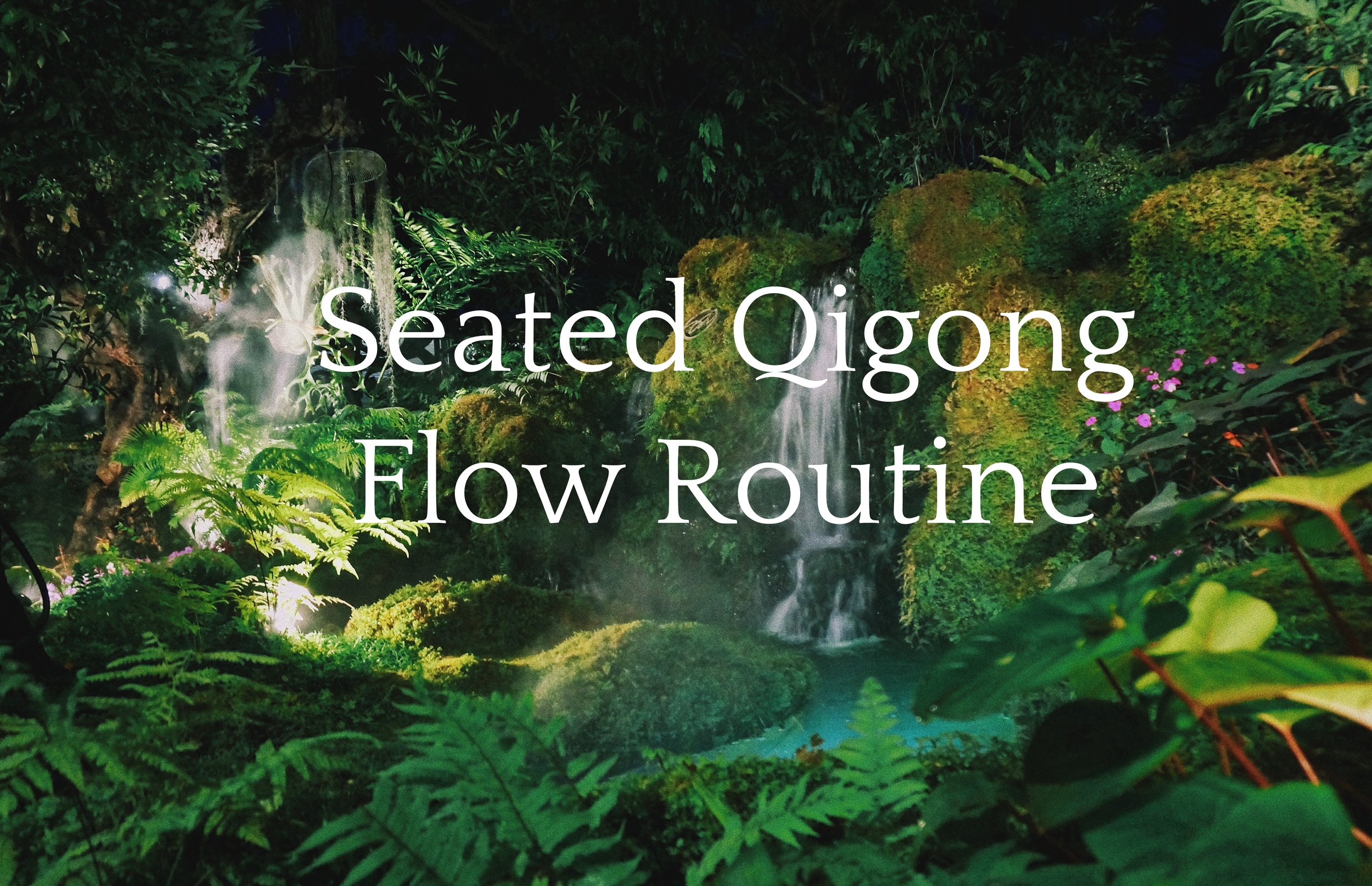 Seated Qigong Flow Routine BONUS video cover.jpg