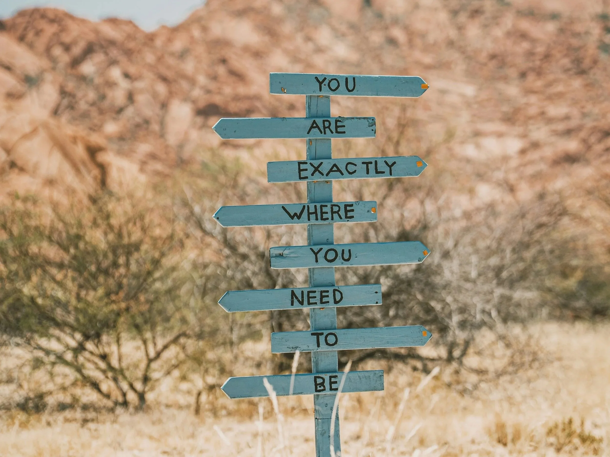 The Philosophy of Find Yourself Now: Stabilising Awakening in the Second Half of Life