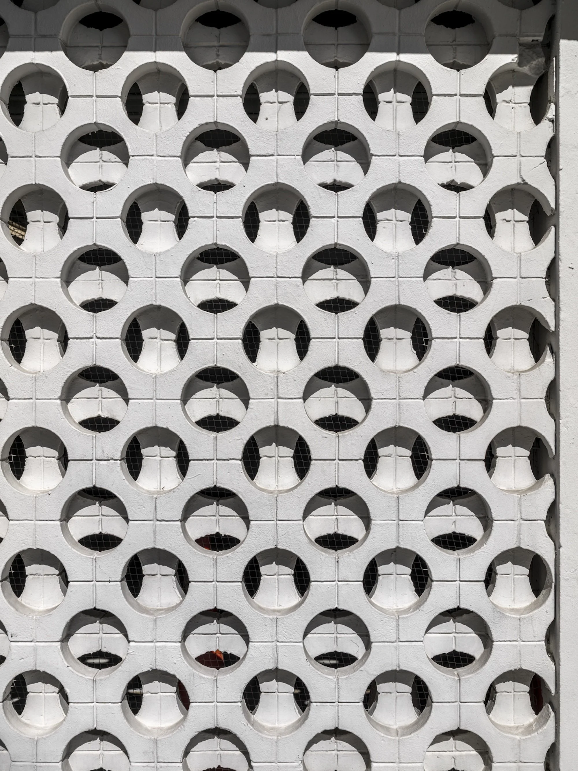 Untitled 2026-2774