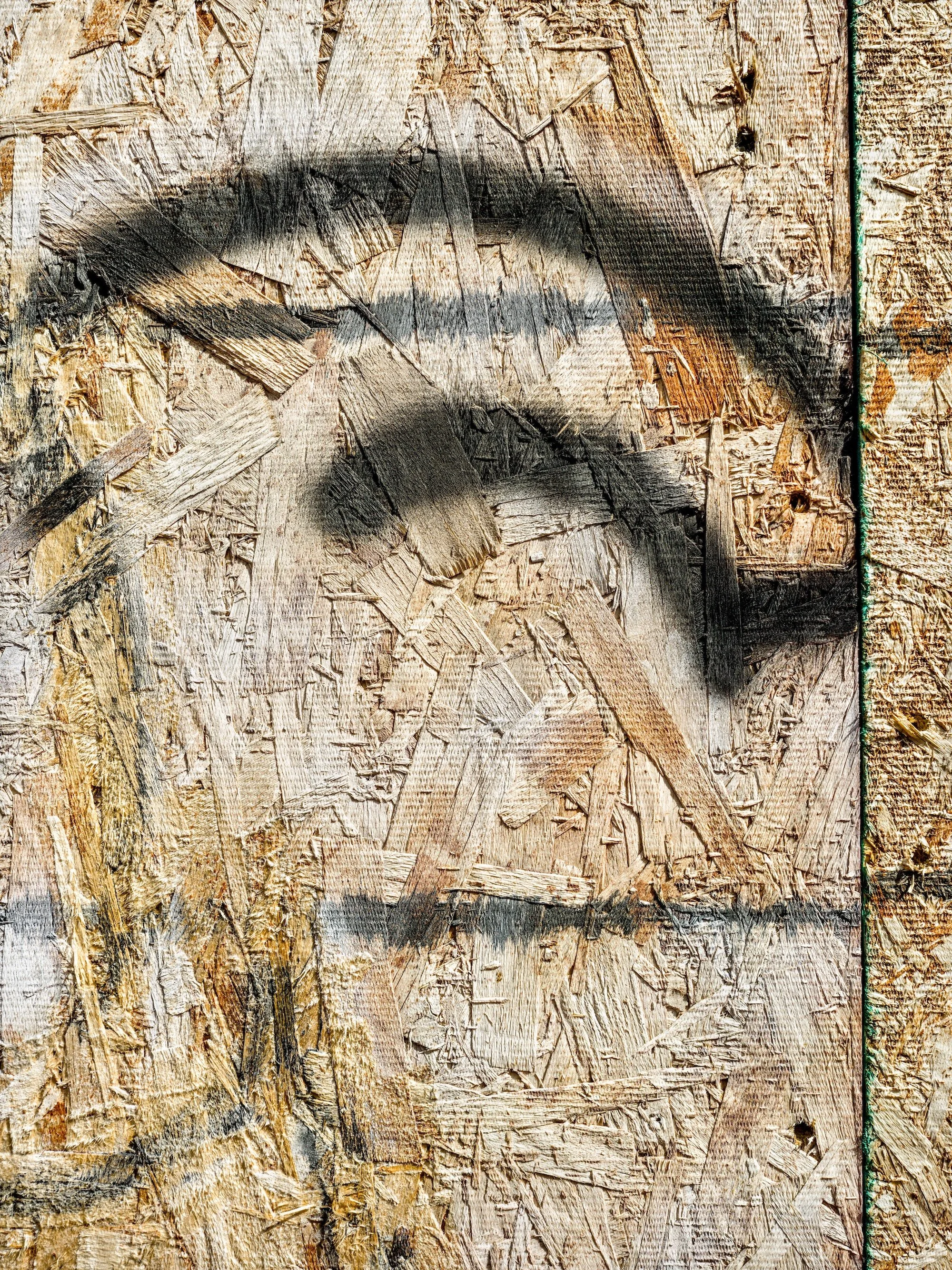 Untitled 2025-03086