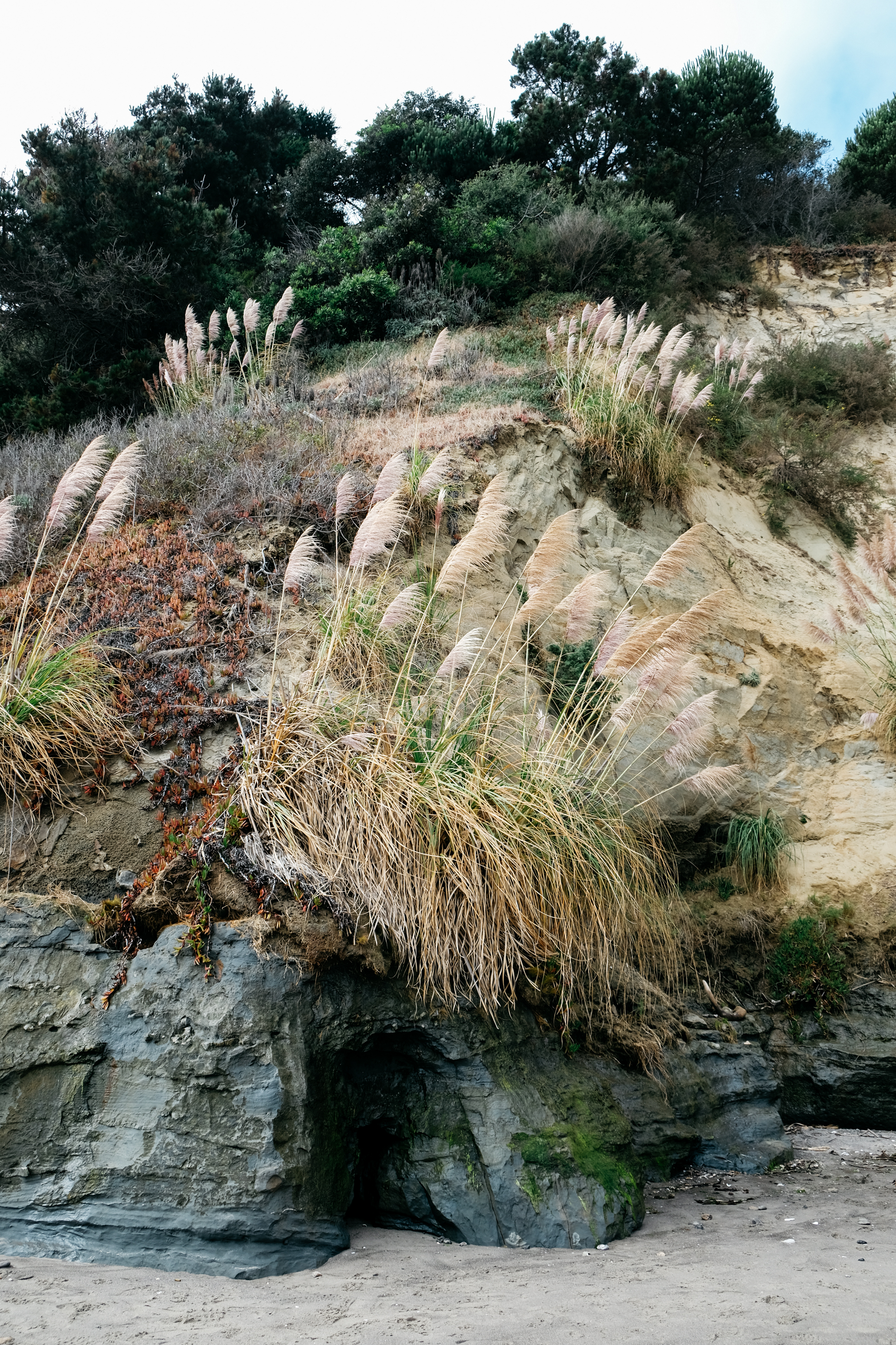 bolinas_summer_18_28.jpg