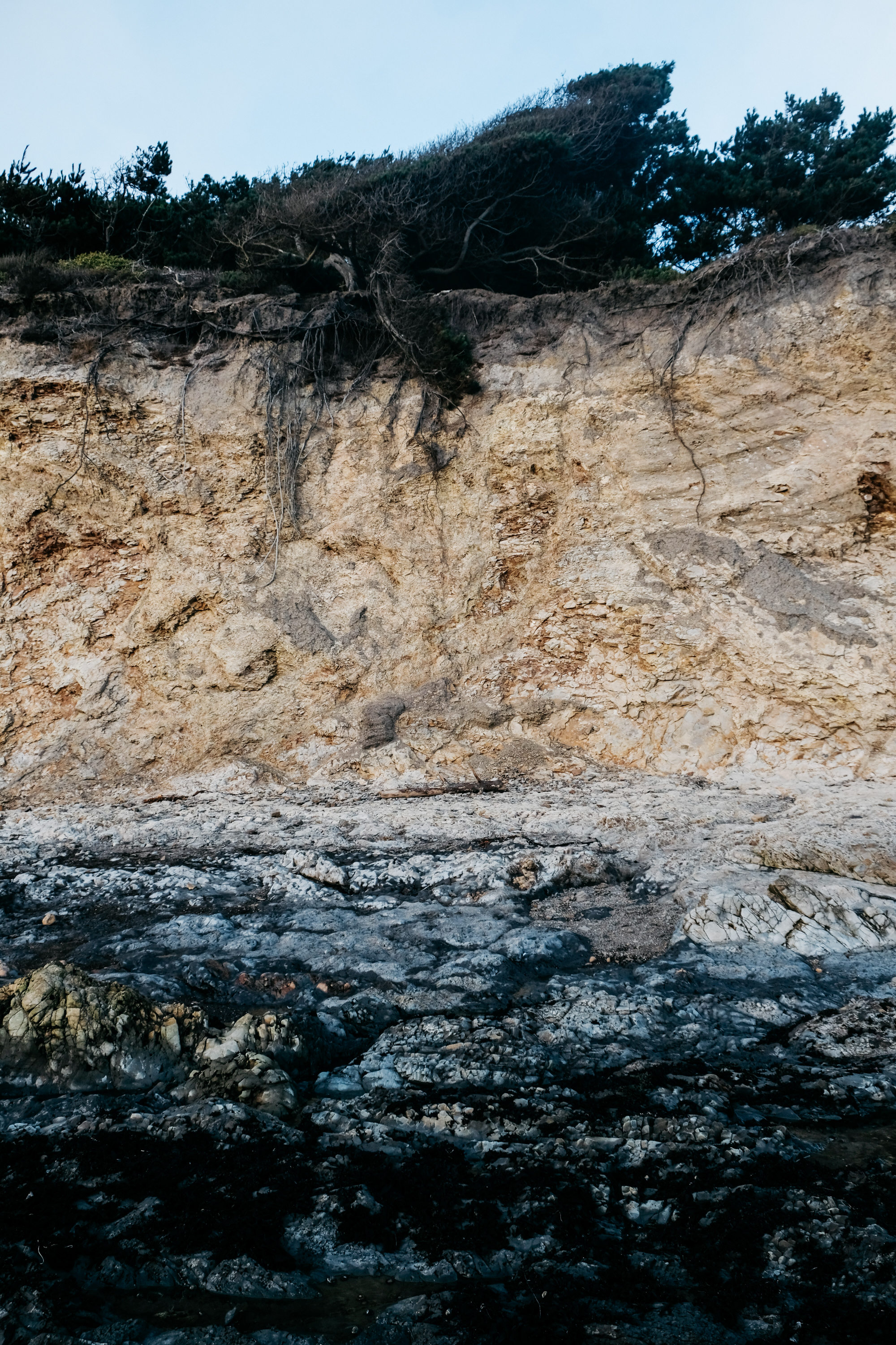 bolinas_summer_18_59.jpg