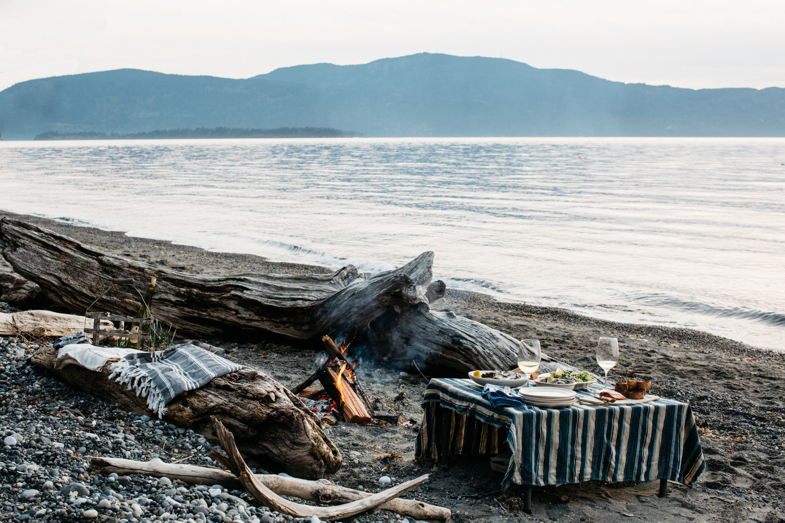 lummi beach4.jpg