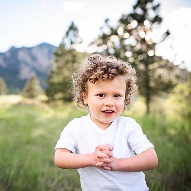 Curly top
#foldedhands #sparkletrees
.
.
.
#coloradofamilyphotography 
#familyphotography 
#familyphotographer #denverphotography 
#boulderphotography
#denverfamilyphotography
#boulderfamilyphotography
#alisoncogswellphotography
#playsmileconnect @li