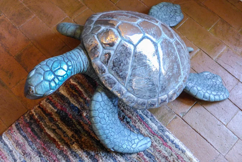 Sea Turtle
