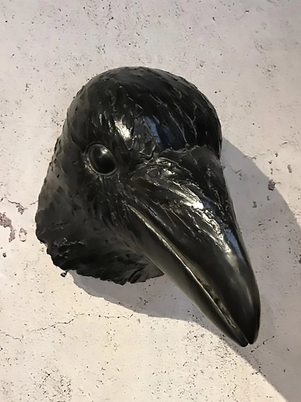 Raven
