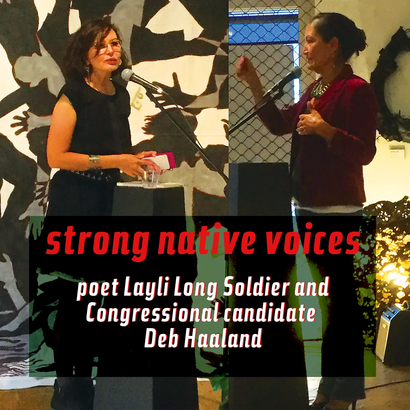 Layli Long Soldier poetry reading/Deb Haaland Fundraiser
