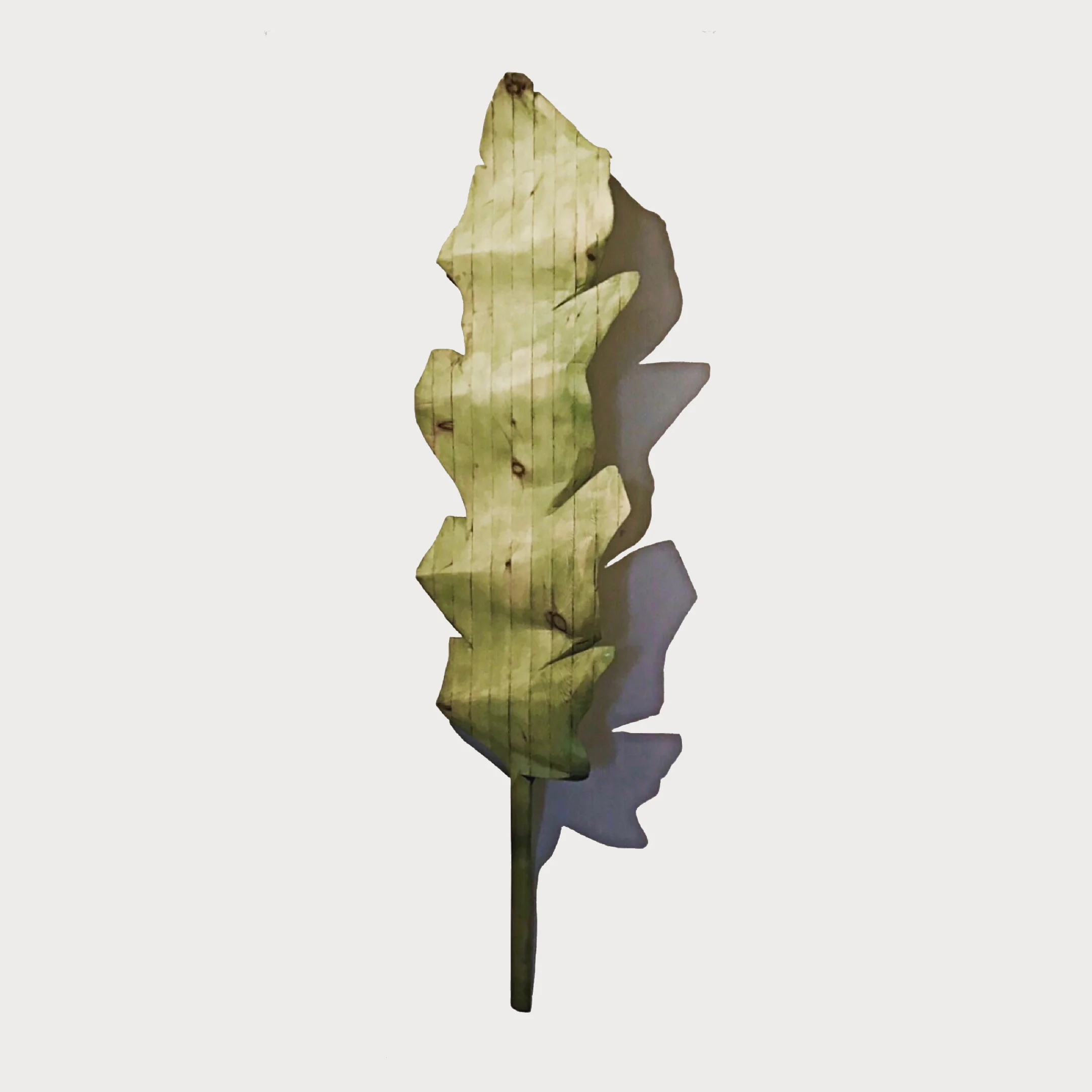 Thistle (Thumbnail) .jpg