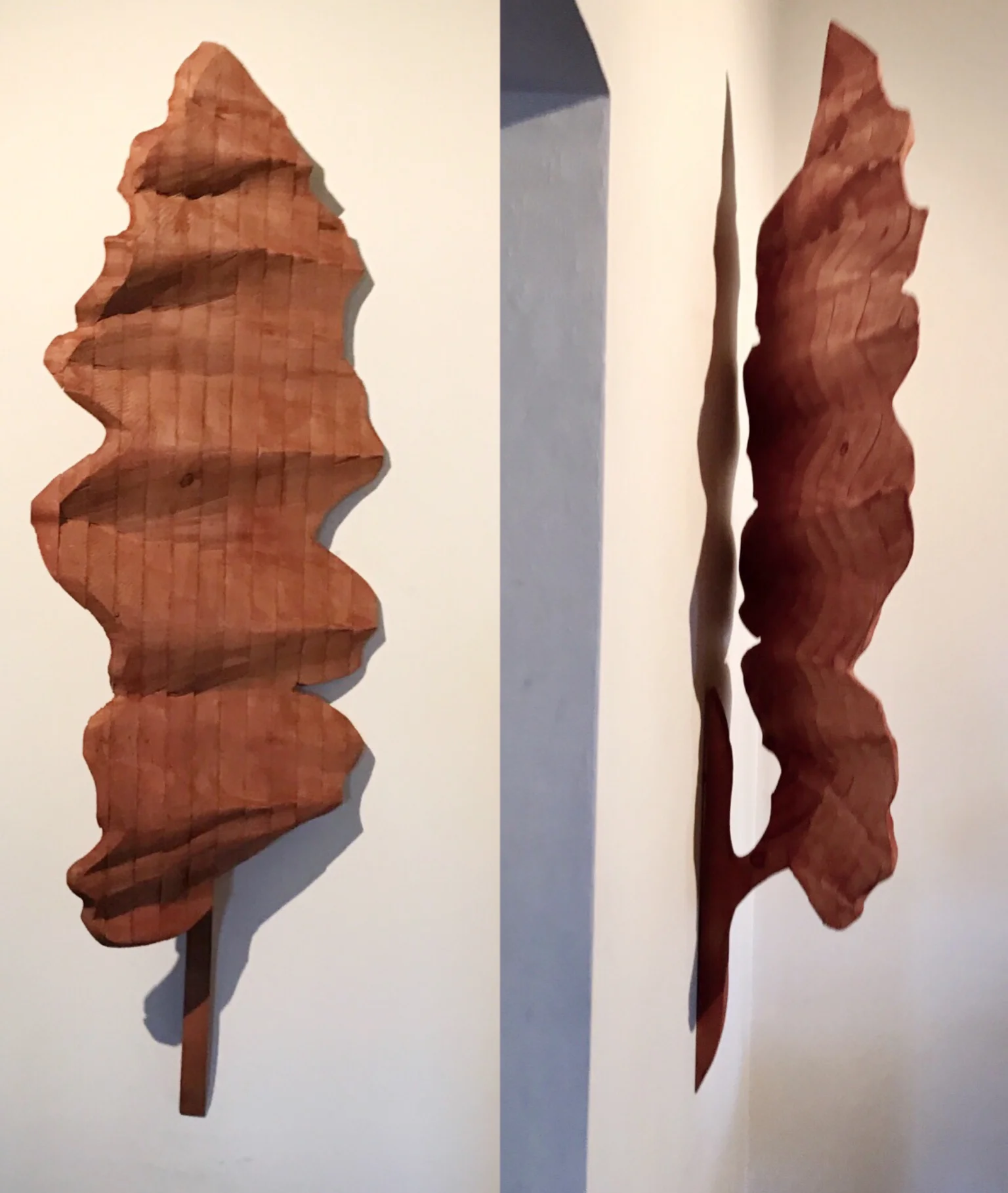 Roan Leaf (two views)