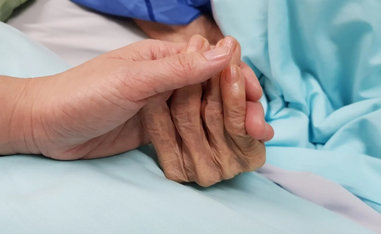 Integrating Traditional Chinese Medicine in Palliative and Hospice Care: Enhancing Well-being