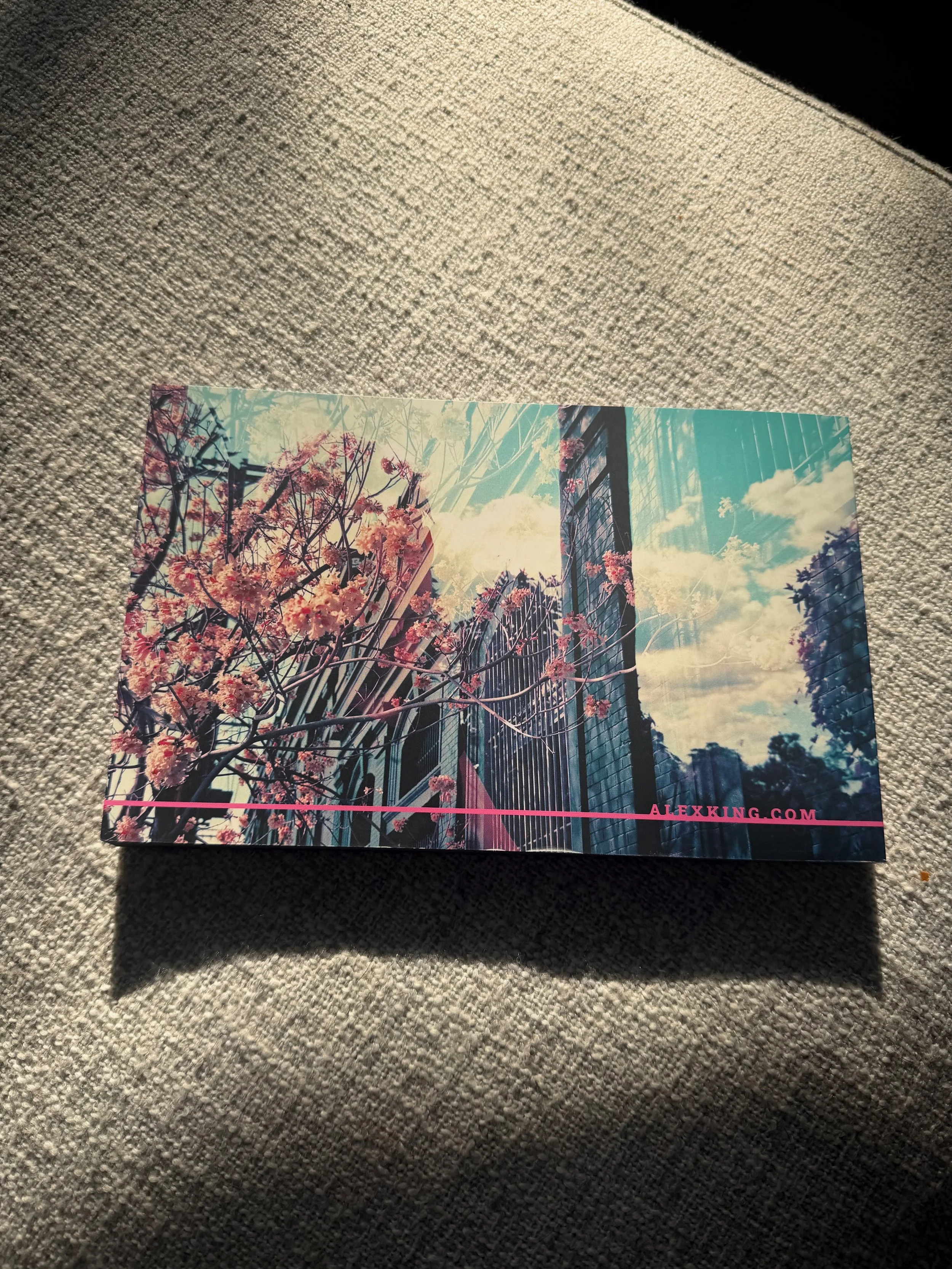 IMG_6887.jpeg
