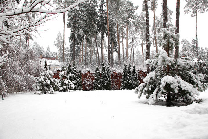 moscow winter garden.jpg