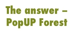 Slide4.jpg