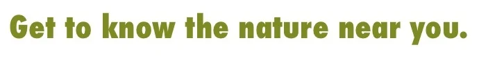 Slide2.jpg