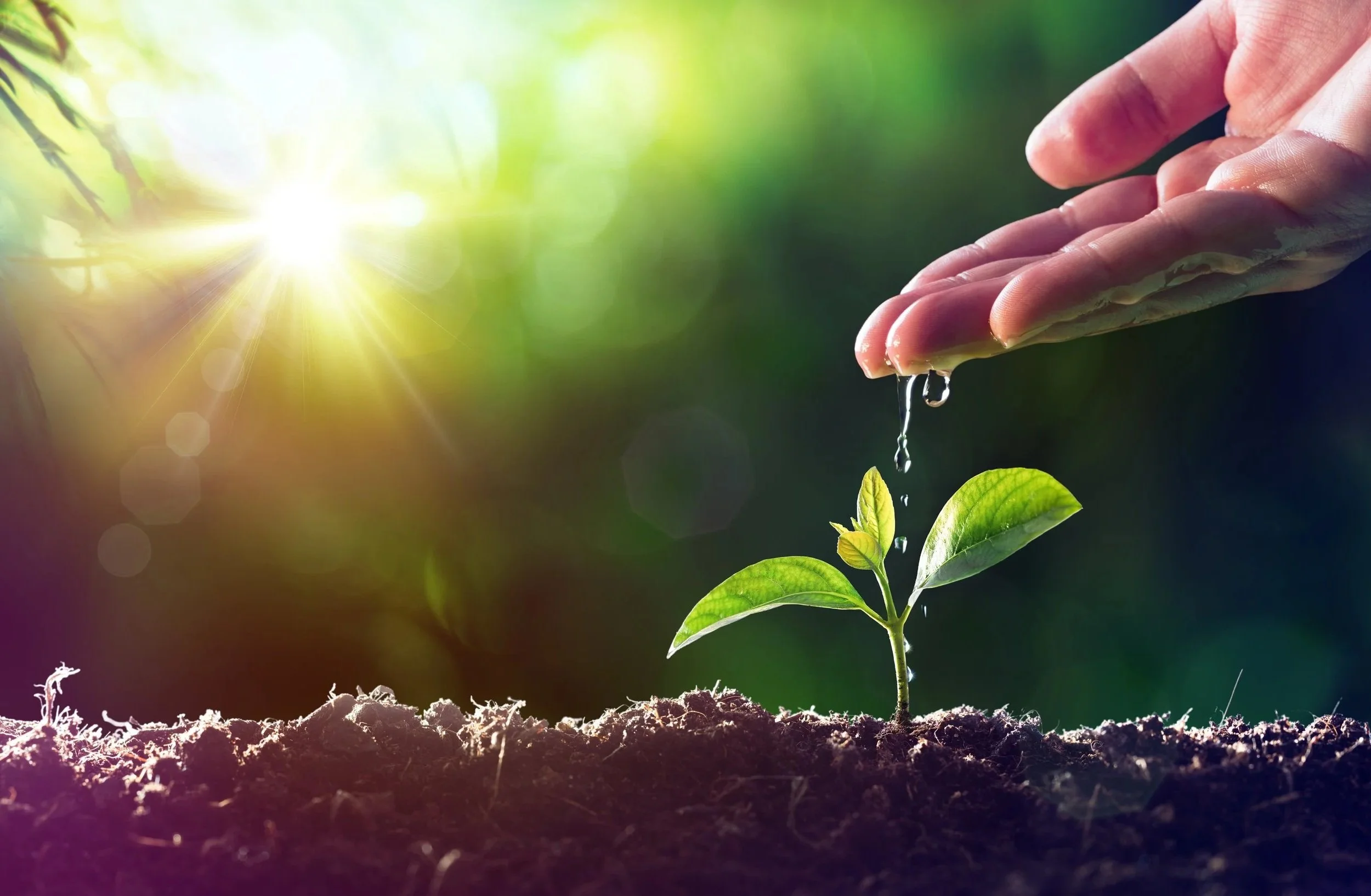 Spring Into Better Business Banking