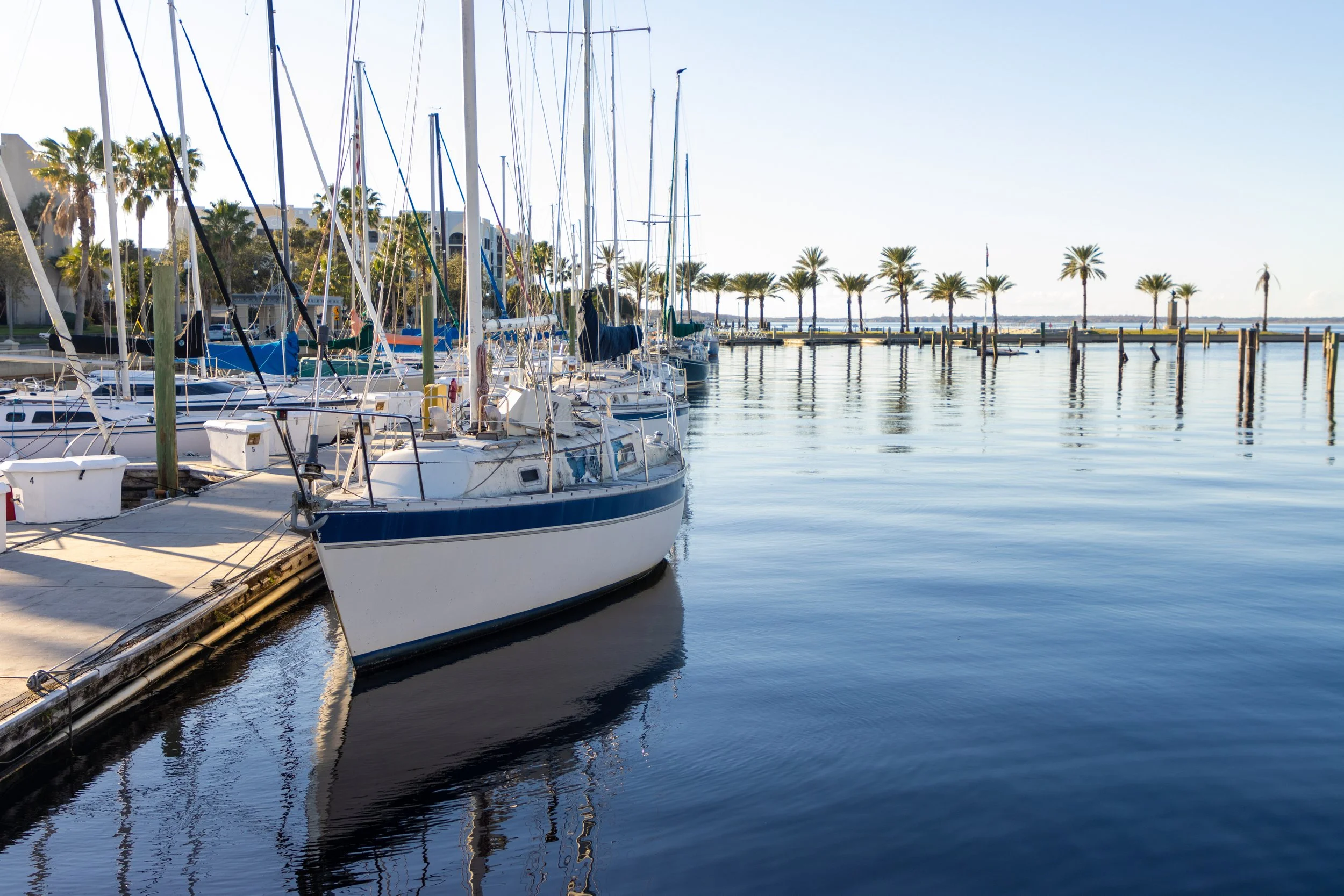 Smart Spending: How to Turn Daily Purchases Into Future Travel and Cash Back