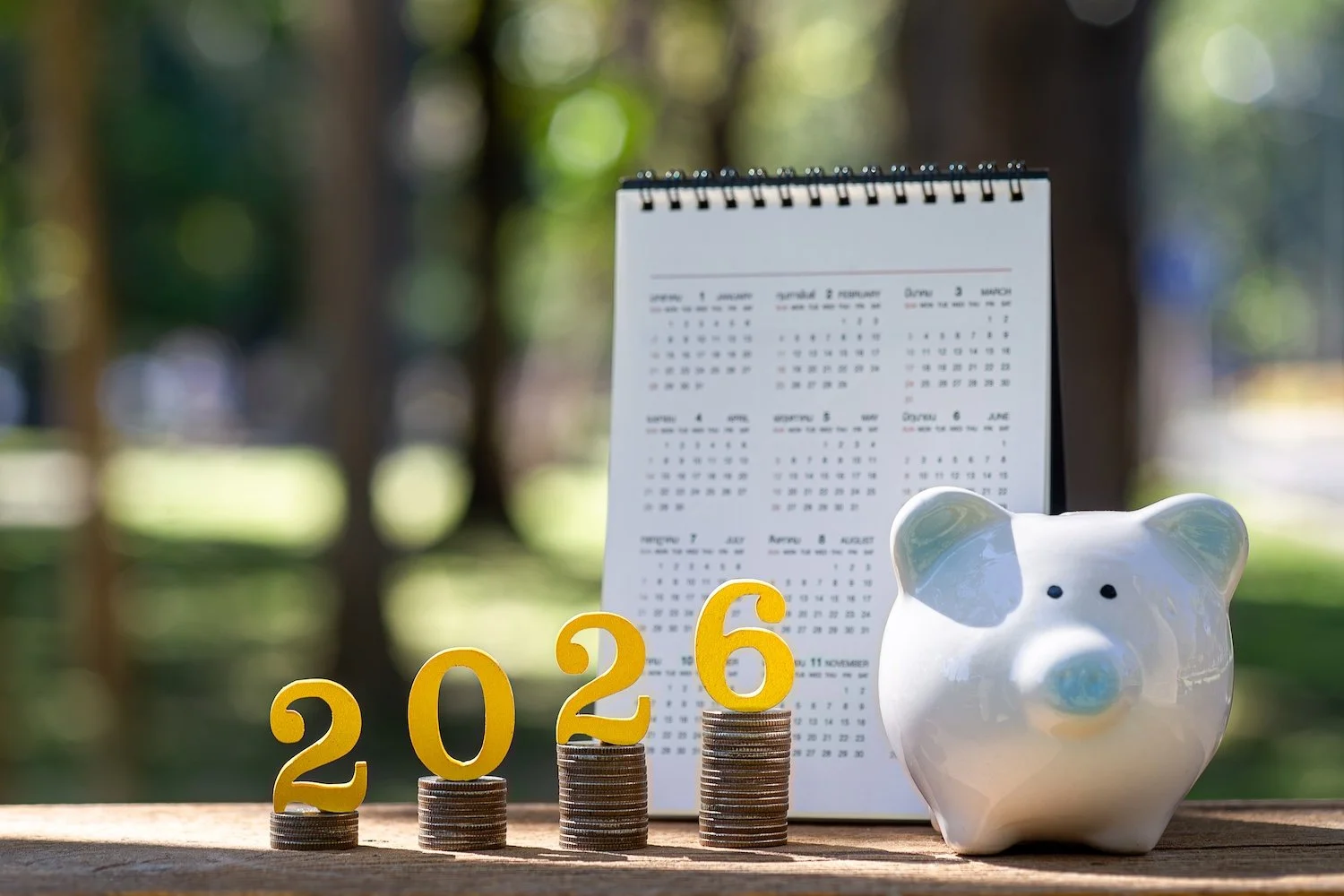 2026 Savings Plan