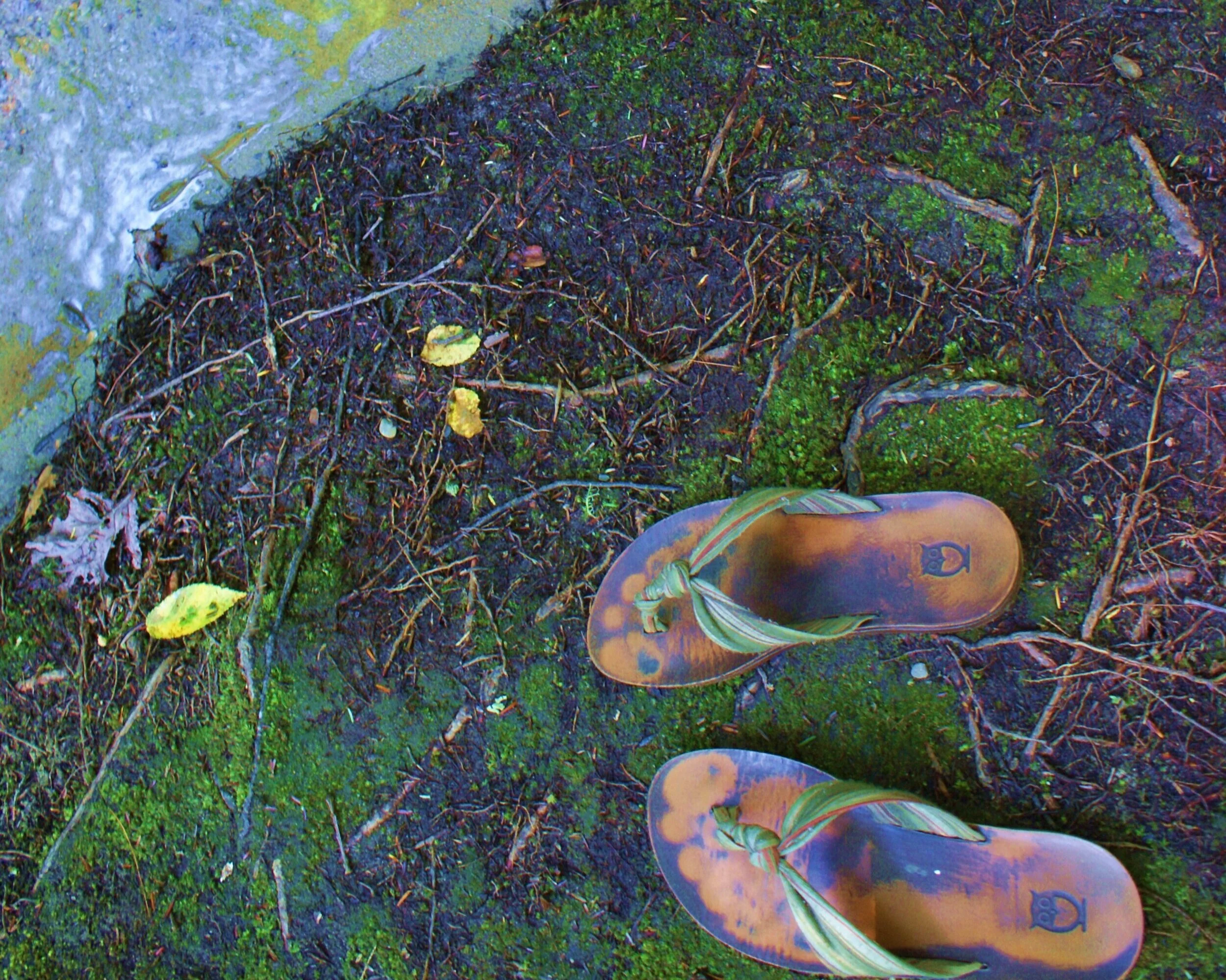 What I Didn’t Expect on My Eating Disorder Recovery Journey