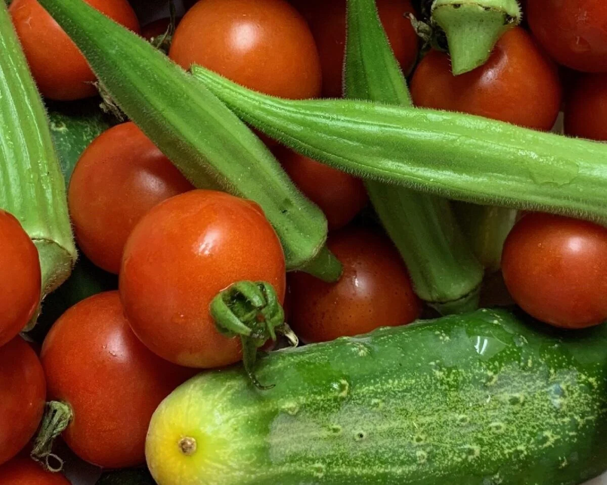 Plant-Based Diets and Eating Disorders