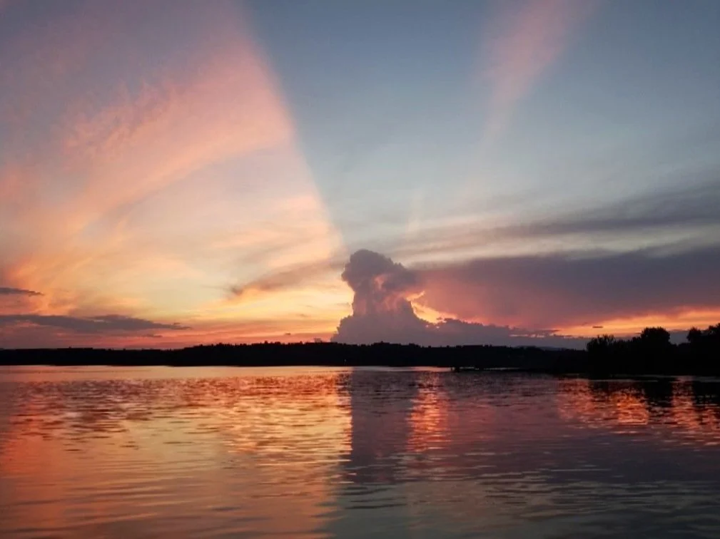 Recovery is for everyone