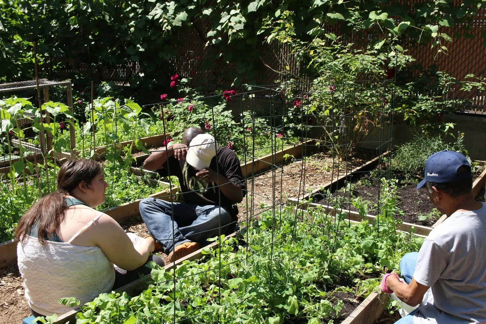 Clients/residents enjoy the garden at 111th Street.