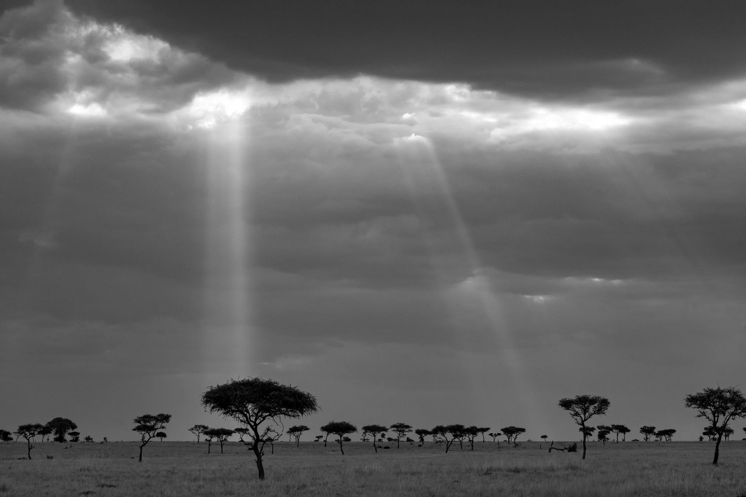 Tanzania 2026