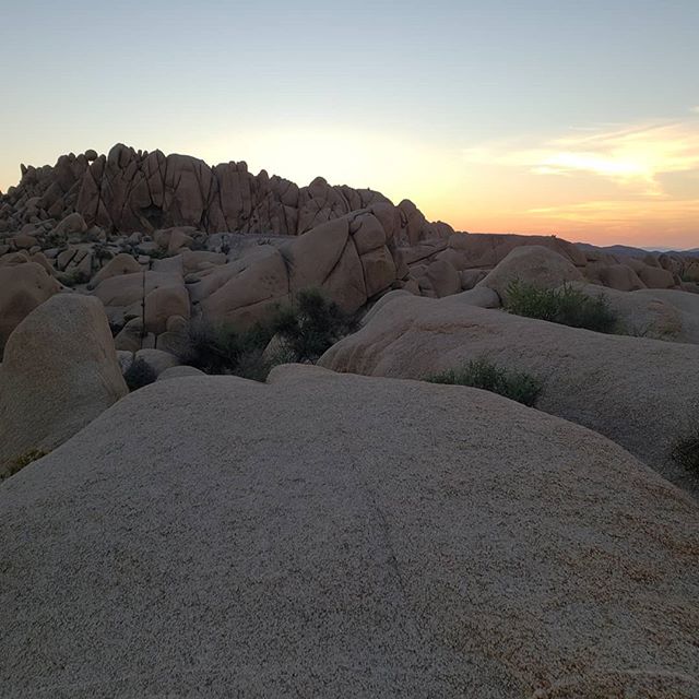 #joshuatree was next and provided a beautiful landscape for bounding around the boulders