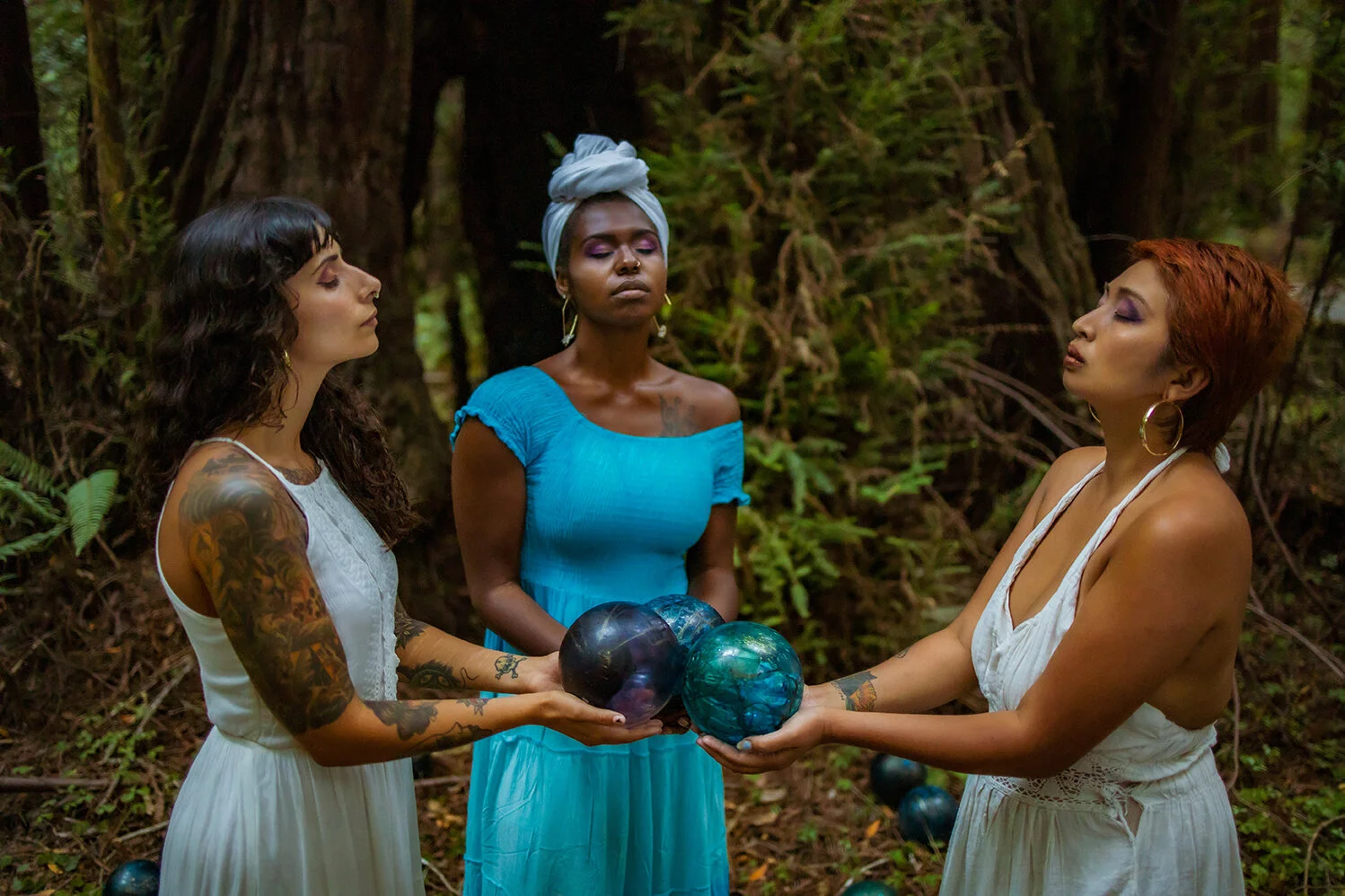 Echo's Garden (#1 of 3)