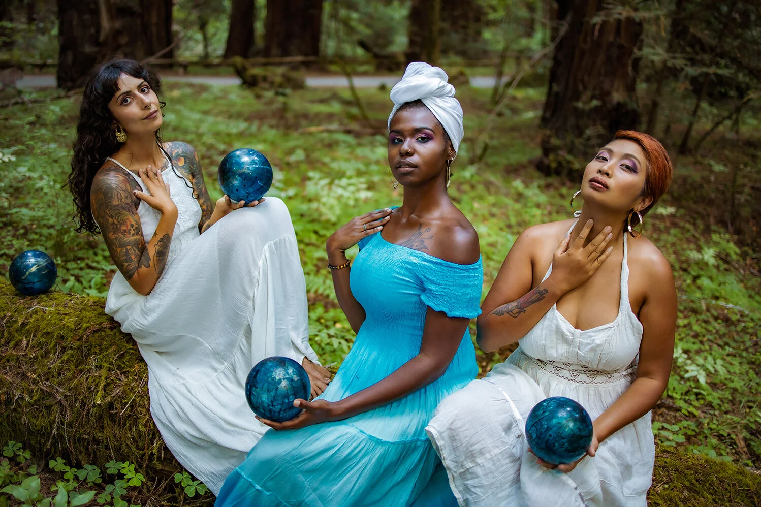 Echo's Garden (#3 of 3)