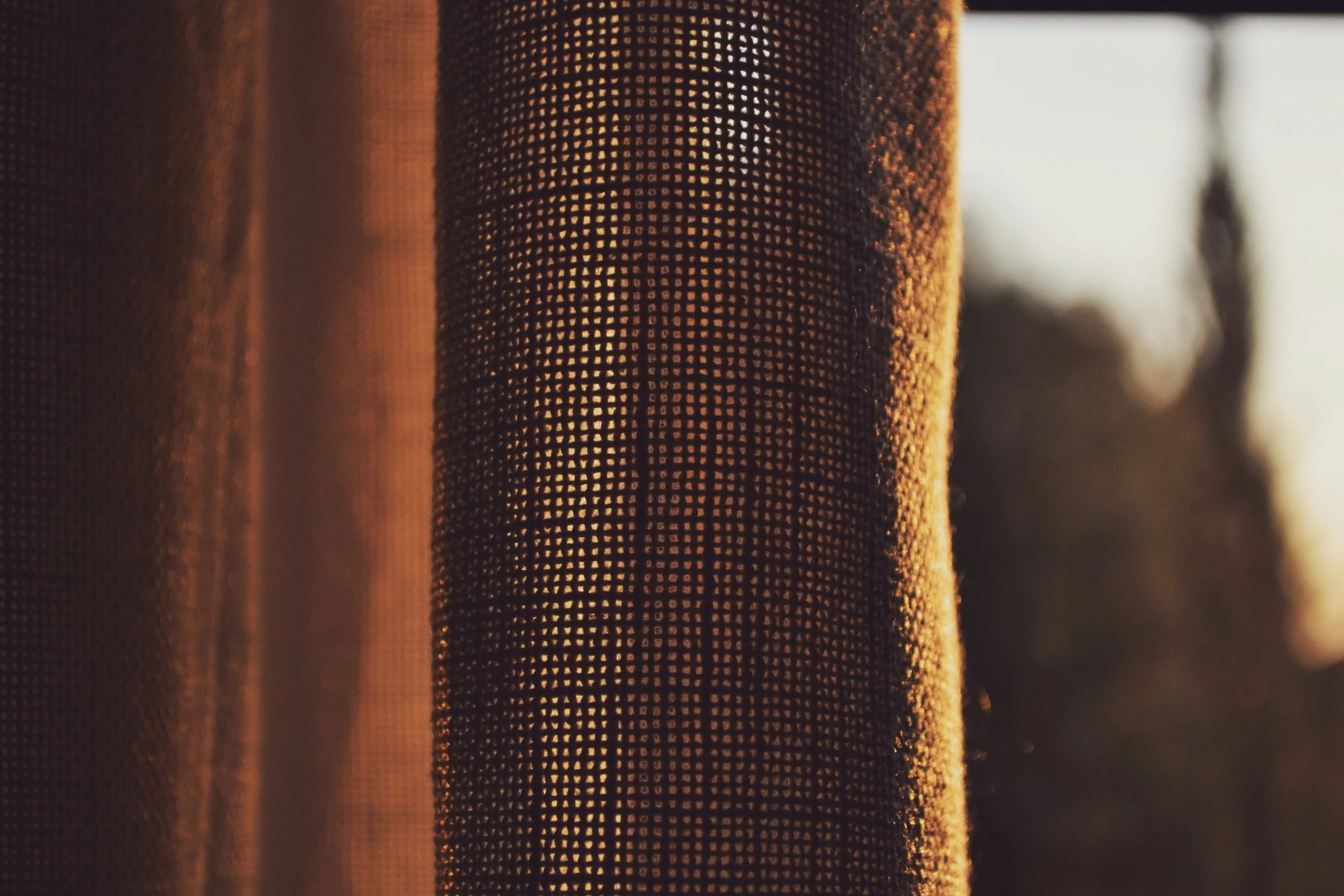 Photo by Devon Janse Van Rensburg