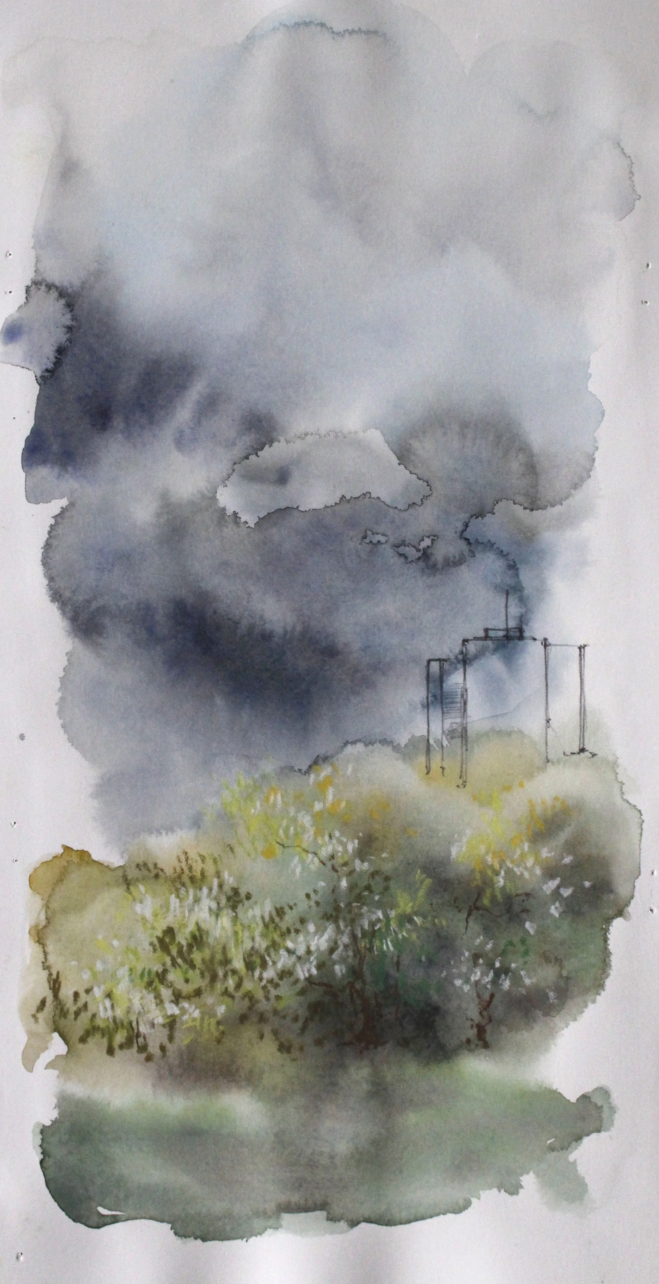 Observation 2010 watercolor