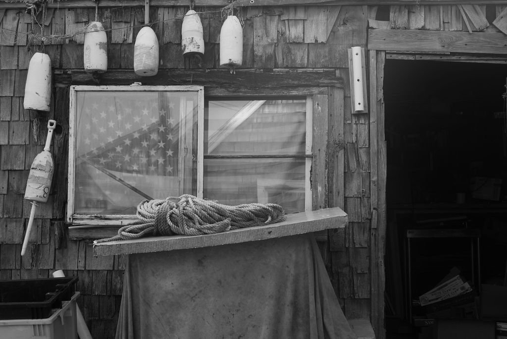 L1002265.jpg