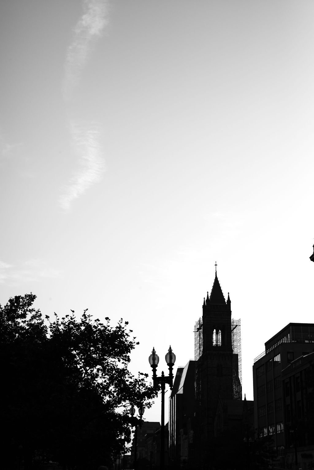 L1003935.jpg