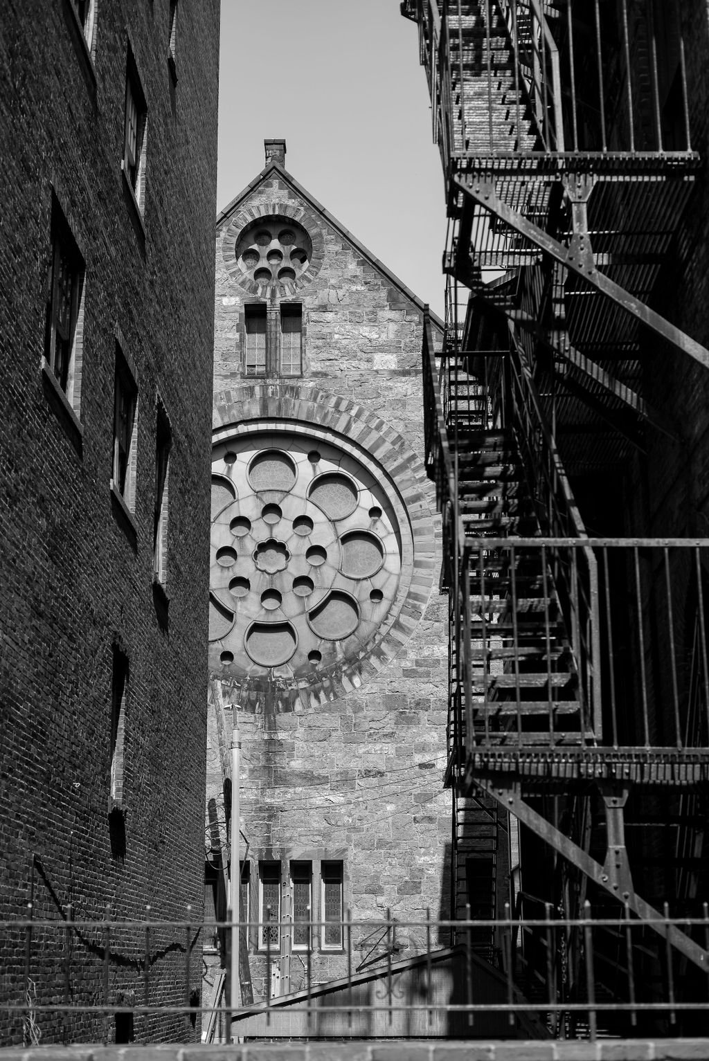 L1004102.jpg