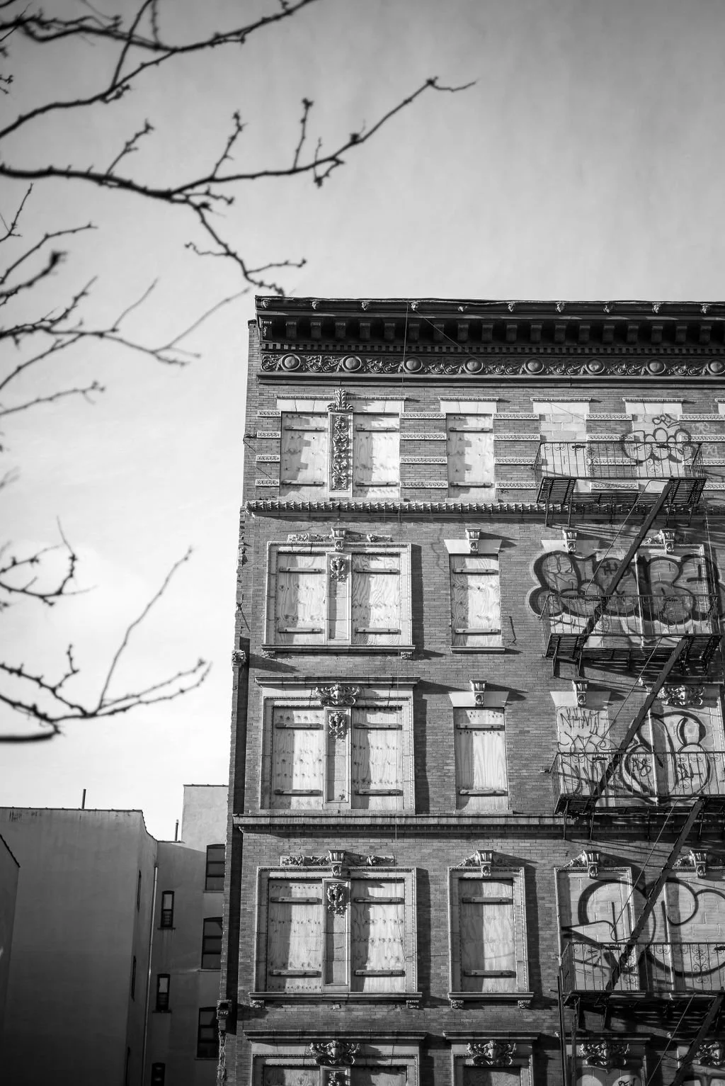 L1003295.jpg