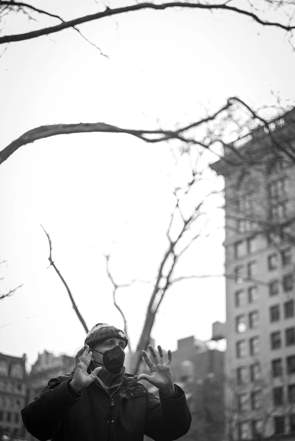 L1003865.jpg
