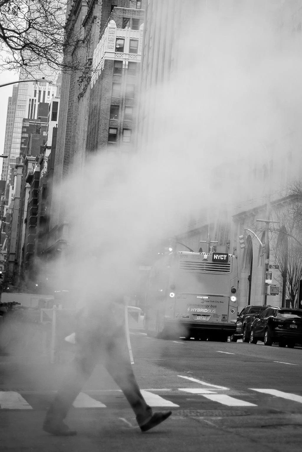 L1003902.jpg