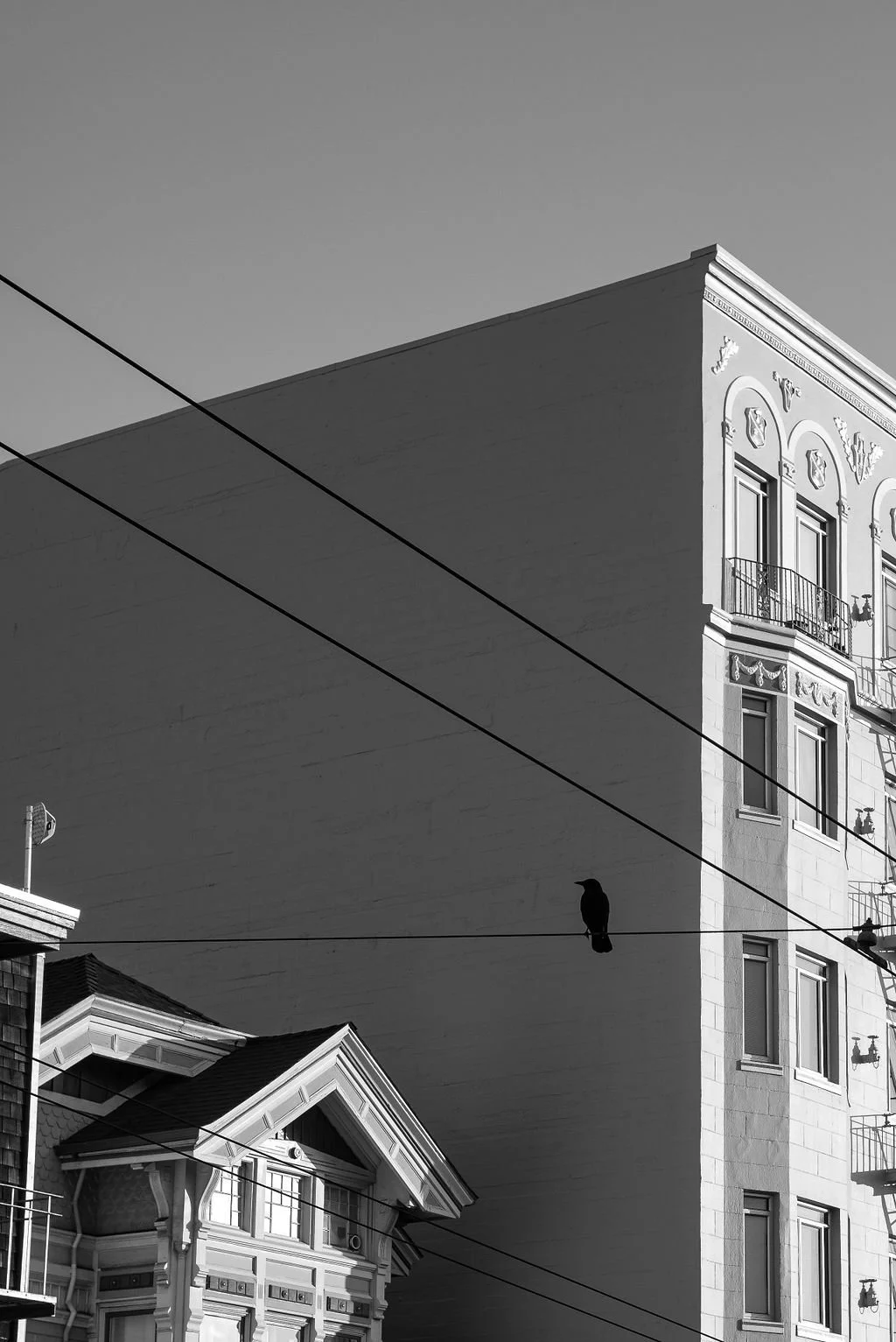 L1000415.jpg