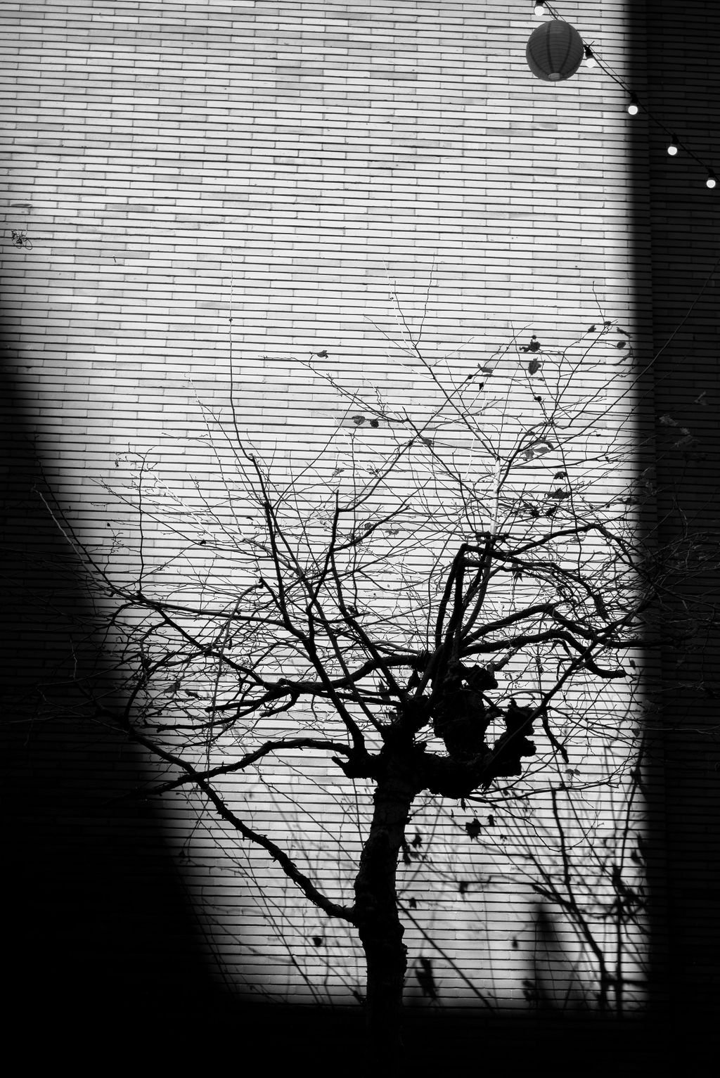 L1004218.jpg