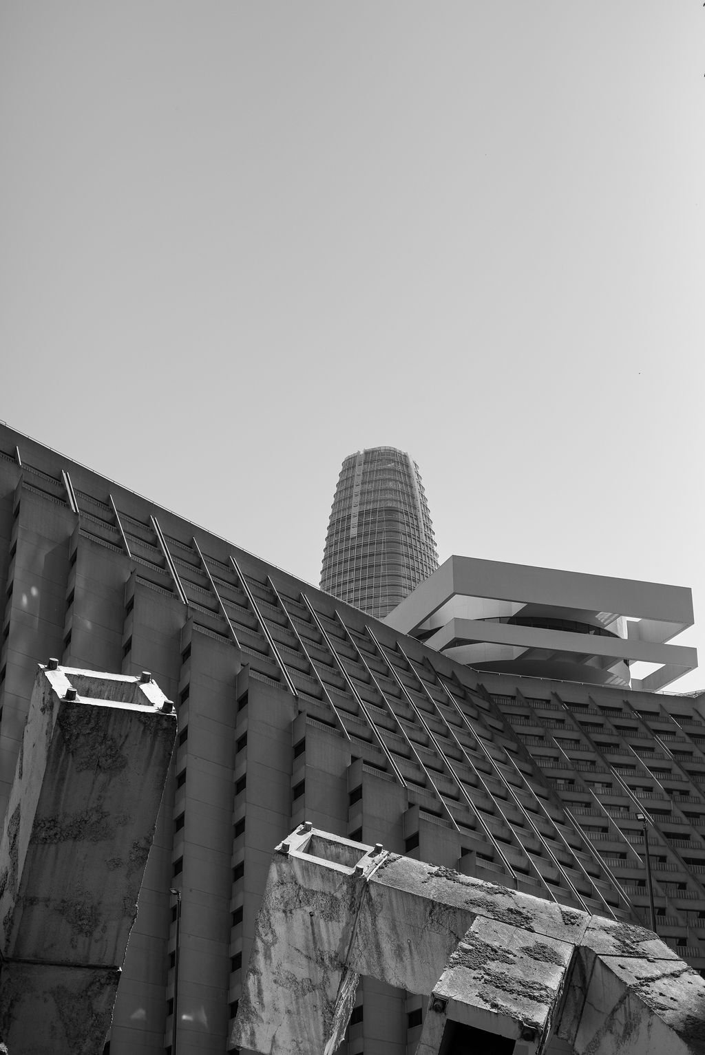 L1004274.jpg