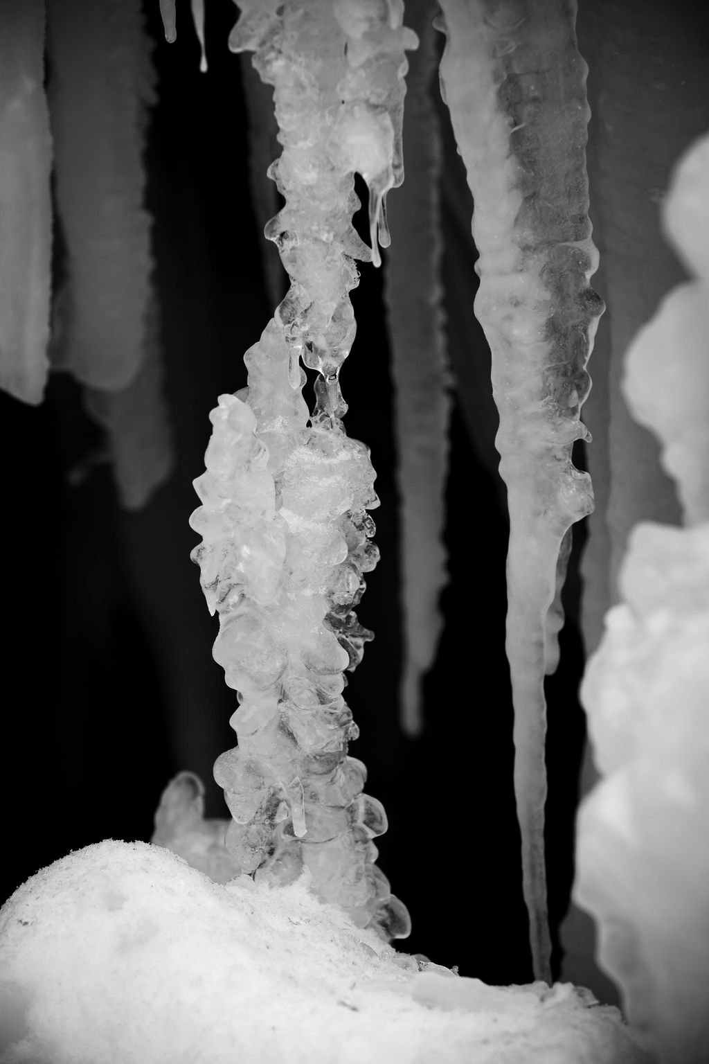 M.THURK_25_01_0145.jpg