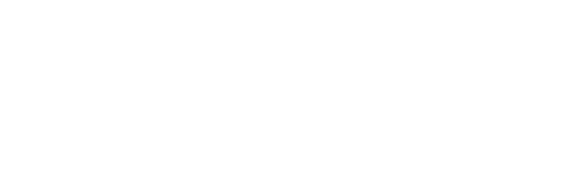 American Wolf Foundation