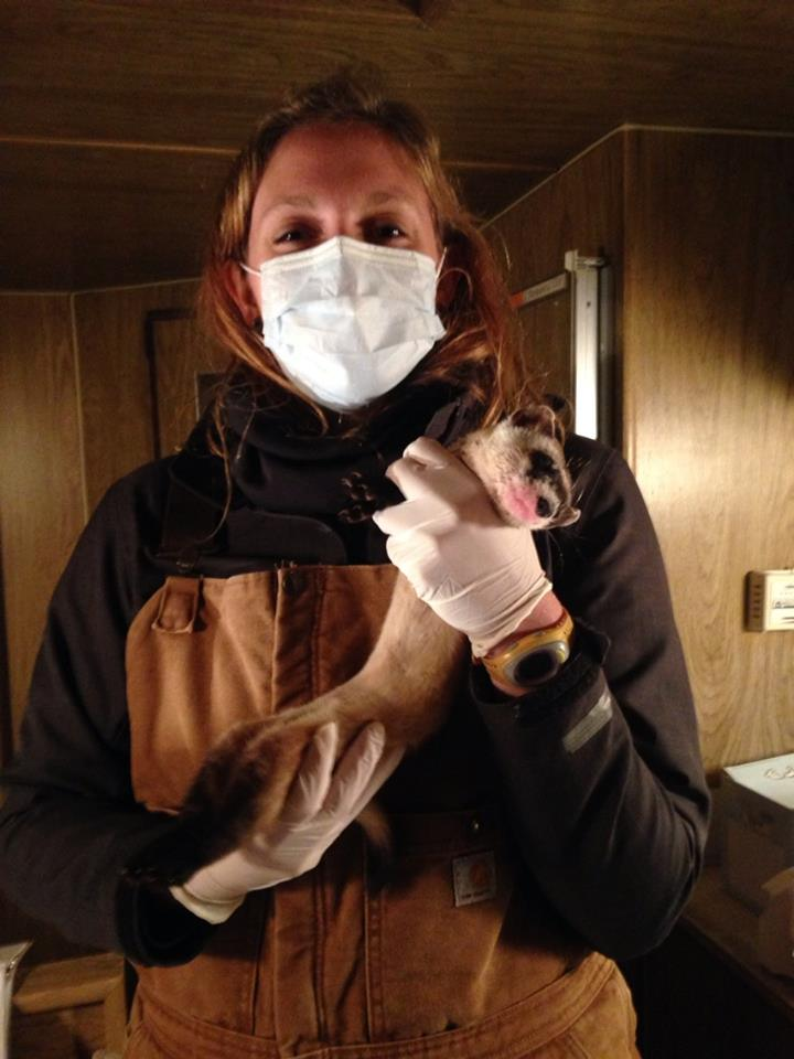 Maggie Harrison.American Wolf Foundation.png