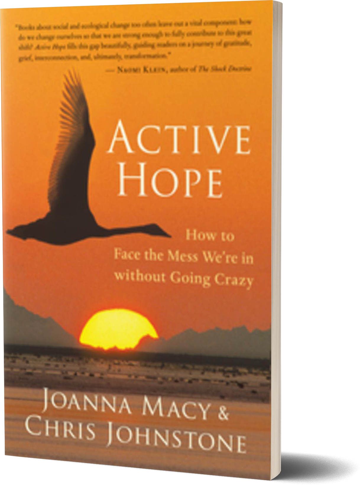 Active Hope- How to Face the Mess We’re in without Going Crazy by Joanna Macy and Chris Johnstone.png