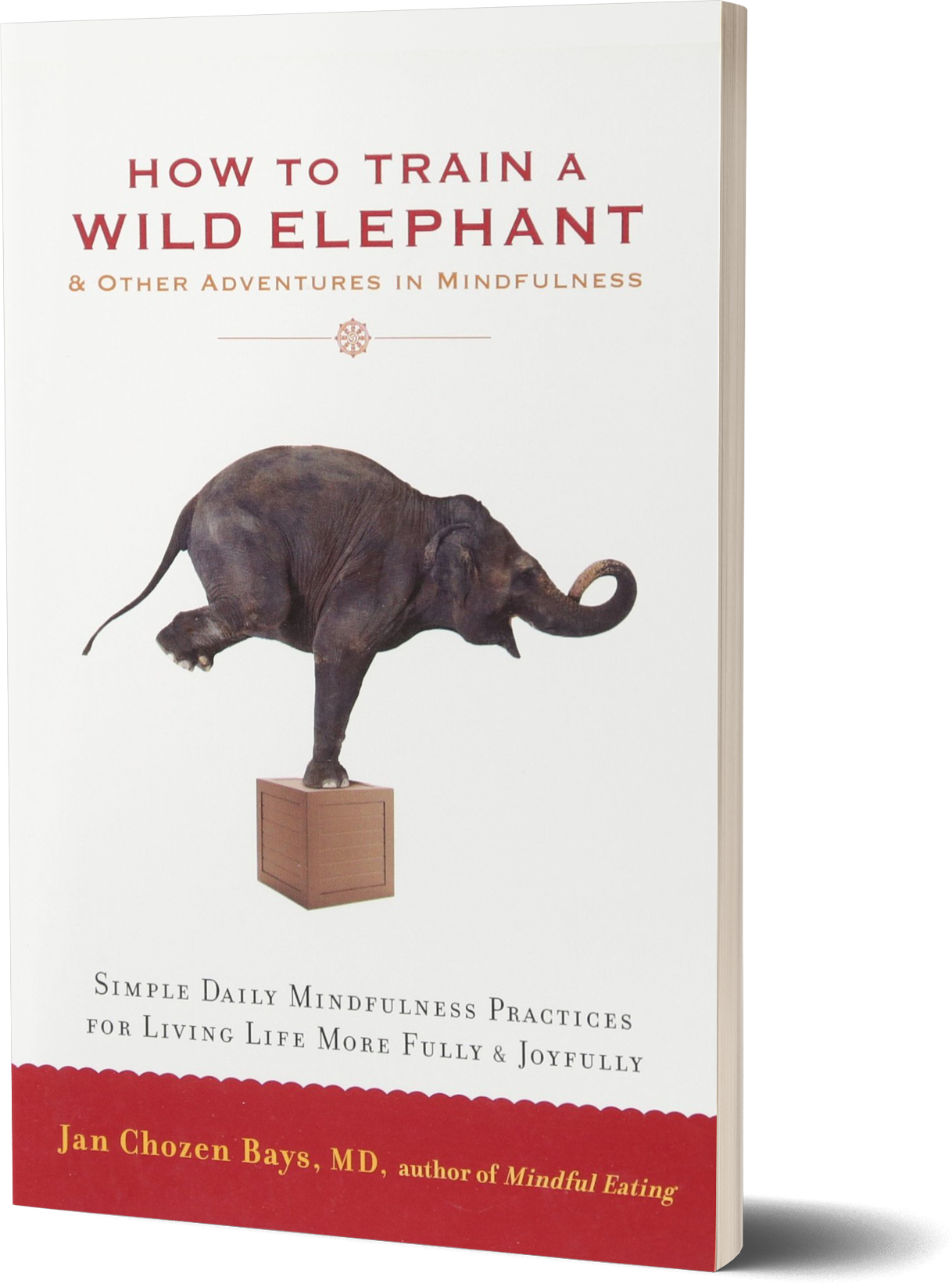How to Train a Wild Elephant- And Other Adventures in Mindfulness by Jan Chozen Bays.png