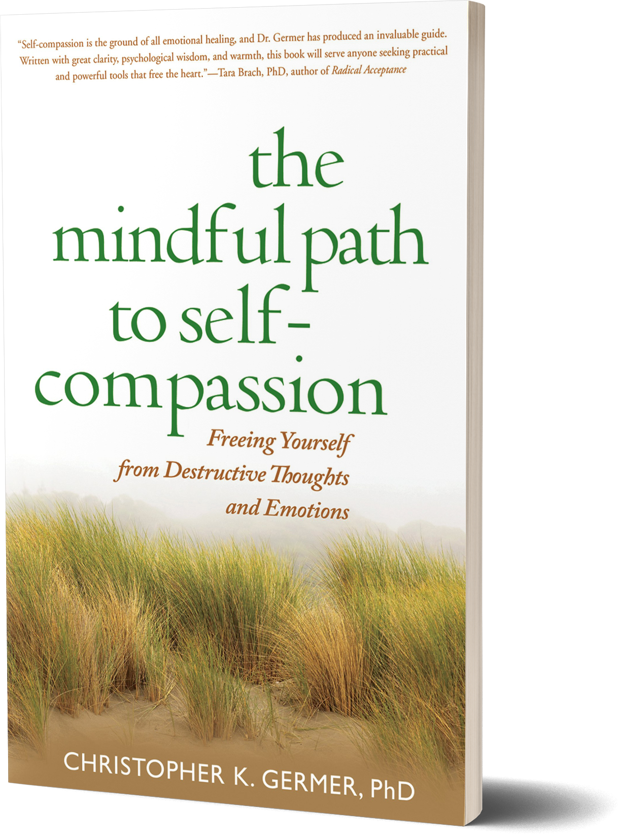 The Mindful Path to Self-Compassion- Freeing Yourself from Destructive Thoughts and Emotions by Christopher K. Germer, Ph.D.png