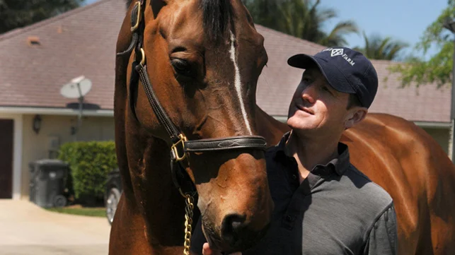 Horses Mclain Ward Inc Horses Mclain Ward Inc