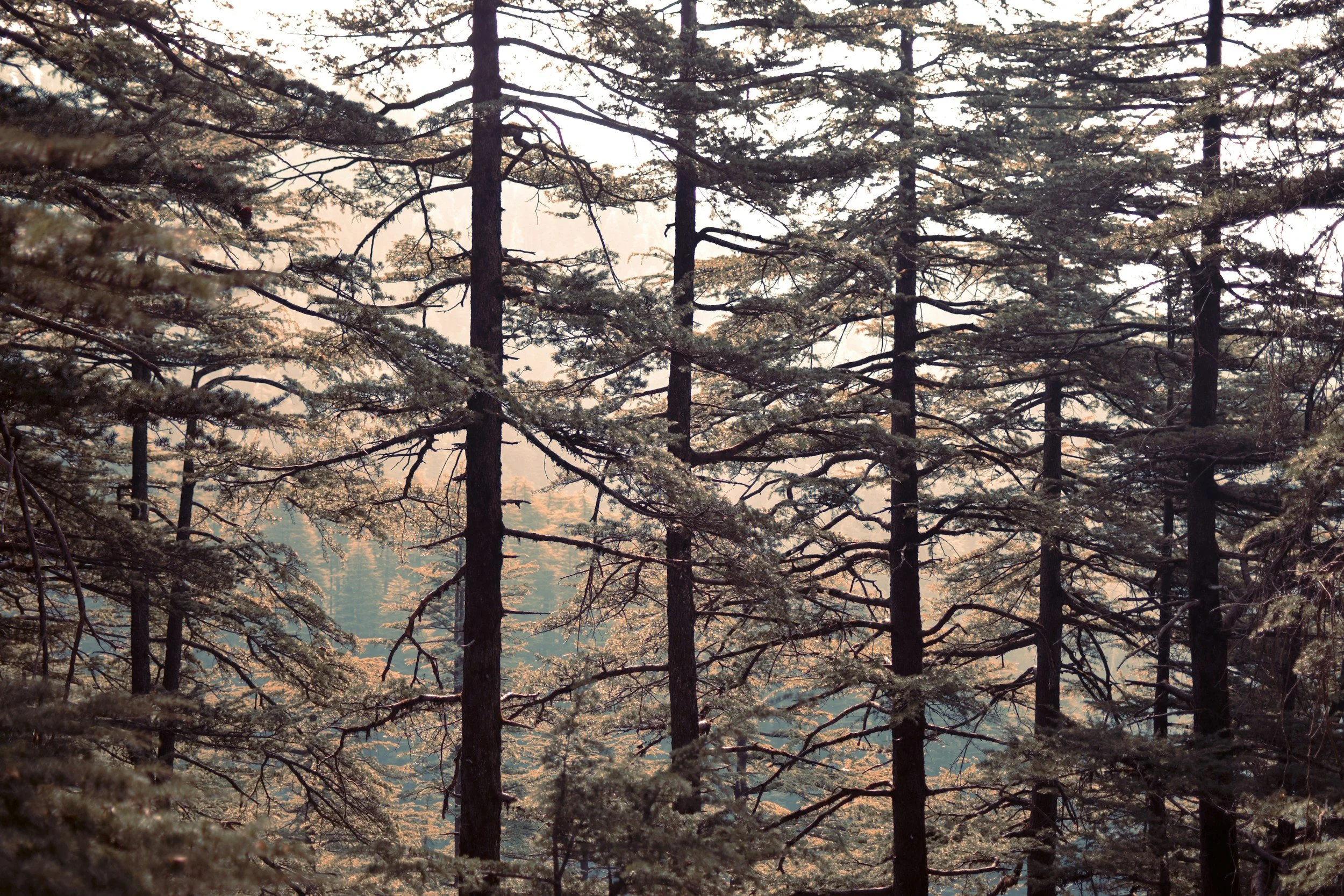 When Enough Is Enough: How to Recognize Your Breaking Point