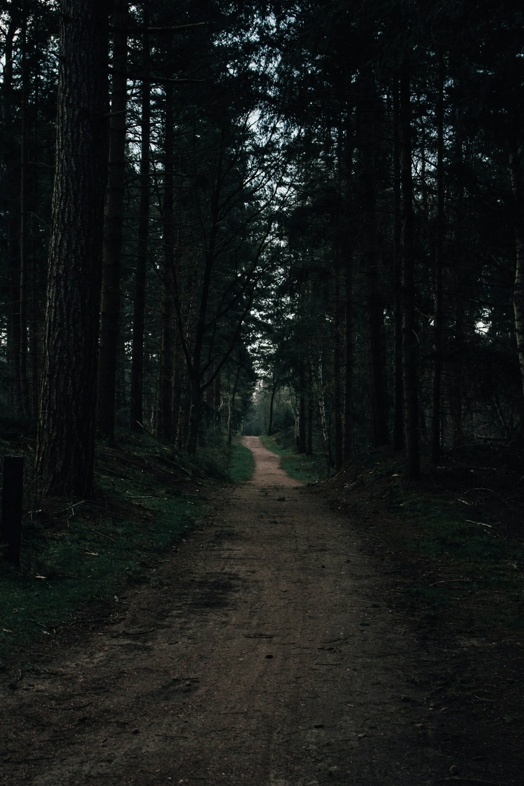 dark path depicting a sense of loss